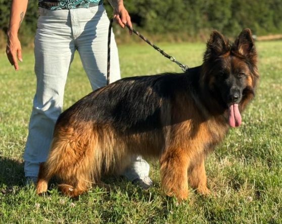 Carolina vom janhaus